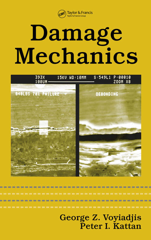 Book cover of Damage Mechanics (1)