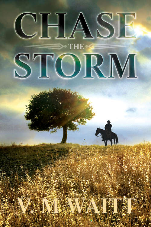 Book cover of Chase the Storm