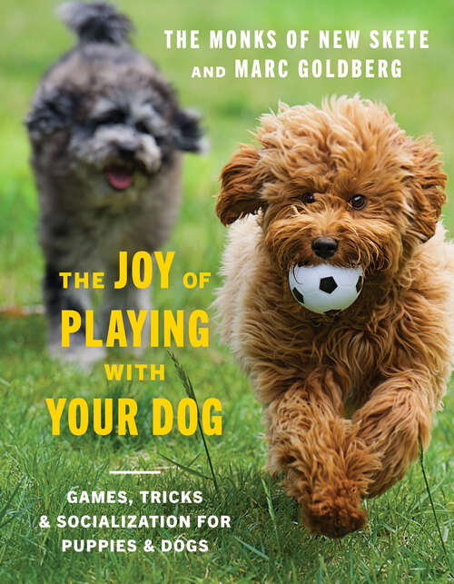 Book cover of The Joy of Playing with Your Dog: Games, Tricks, & Socialization for Puppies & Dogs