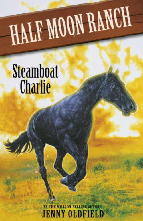 Book cover of Horses of Half Moon Ranch: Book 16