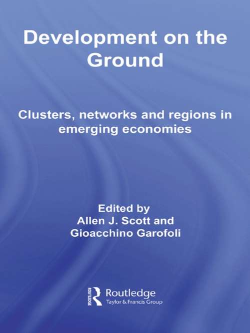 Development on the Ground: Clusters, Networks and Regions in Emerging Economies (Routledge Advances In Management And Business Studies)