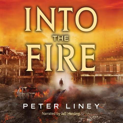 Book cover of Into The Fire: The Detainee Book 2 (The Detainee #2)
