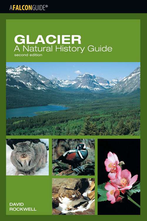 Book cover of Glacier: A Natural History Guide (2nd Edition)