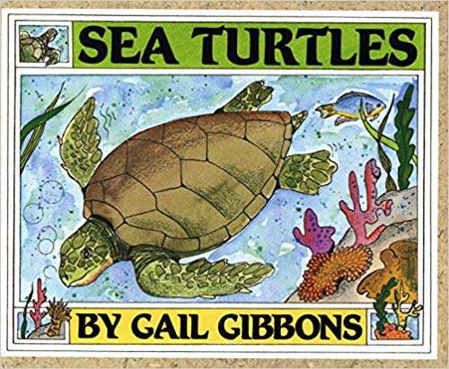 Book cover of Sea Turtles