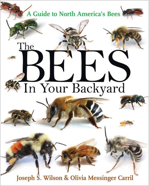 Cover image of The Bees In Your Backyard