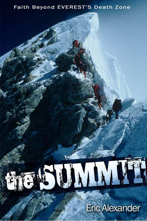 Book cover of The Summit