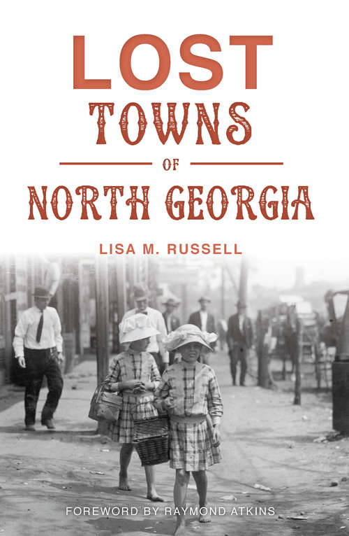 Book cover of Lost Towns of North Georgia (Hidden History)