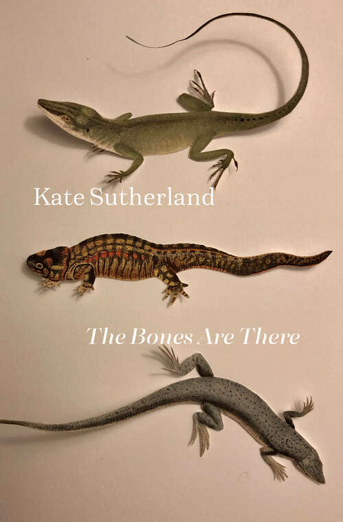 Book cover of The Bones Are There