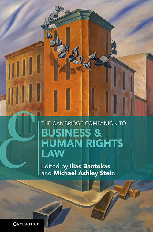 The Cambridge Companion to Business and Human Rights Law