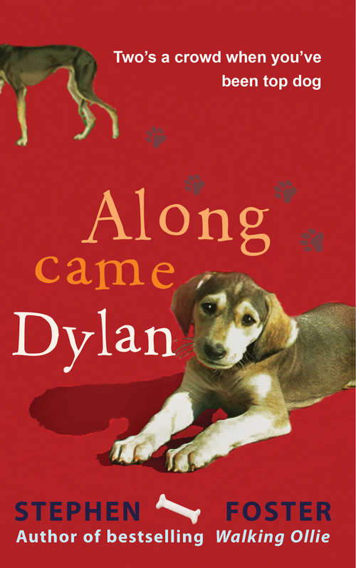 Cover image of Along Came Dylan