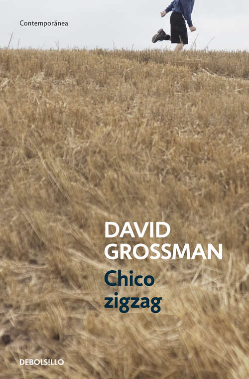 Book cover of Chico zigzag