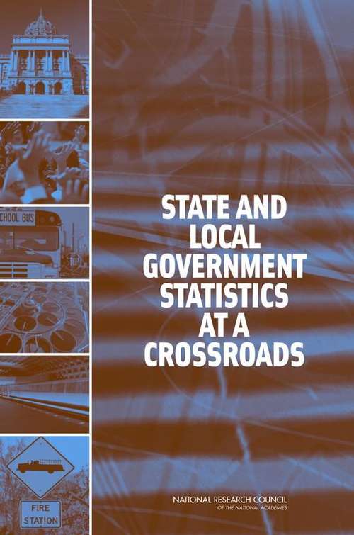 Book cover of State And Local Government Statistics At A Crossroads