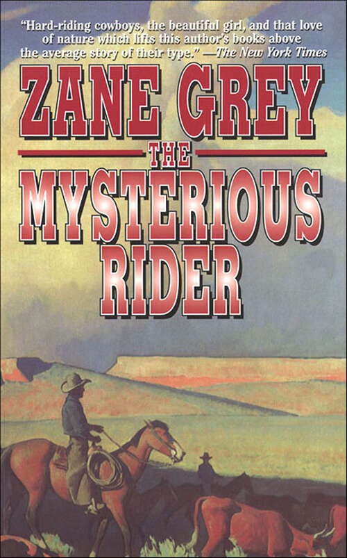 Book cover of The Mysterious Rider