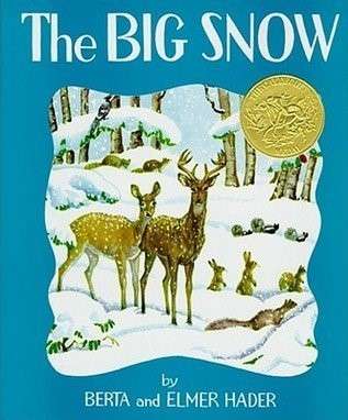 Book cover of The Big Snow