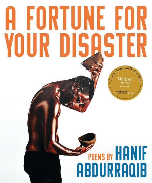 Book cover of A Fortune for Your Disaster