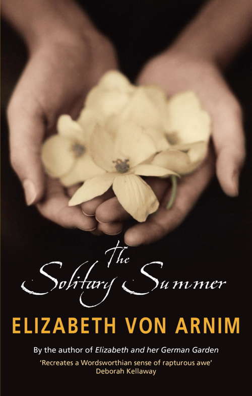 The Solitary Summer (Virago Modern Classics #401)