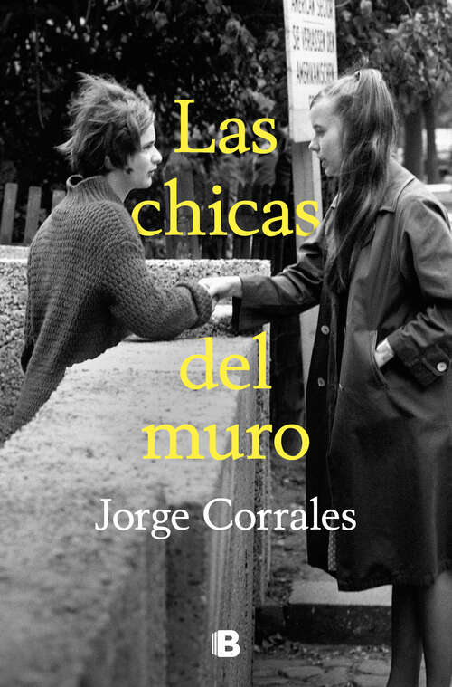 Book cover of Las chicas del muro