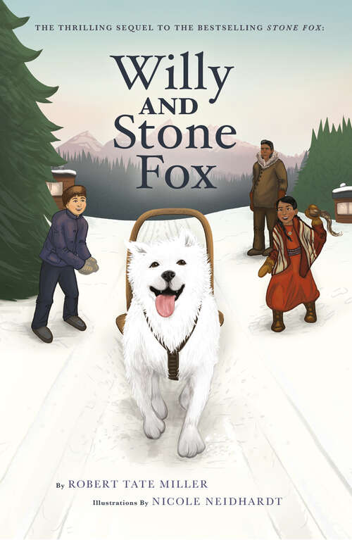 Book cover of Willy and Stone Fox