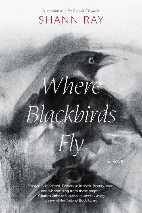 Book cover of Where Blackbirds Fly: A Novel