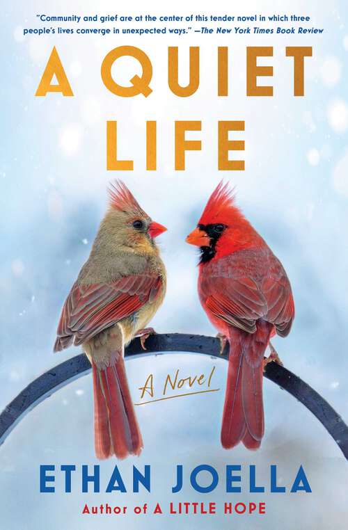 Book cover of A Quiet Life: A Novel