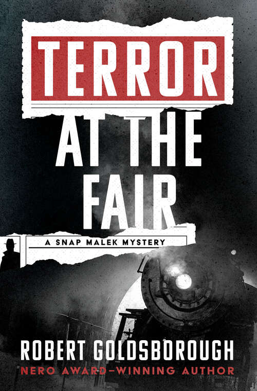 Book cover of Terror at the Fair (The Snap Malek Mysteries)