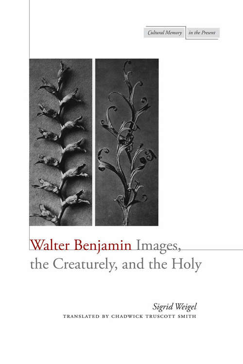 Book cover of Walter Benjamin: Images, the Creaturely, and the Holy