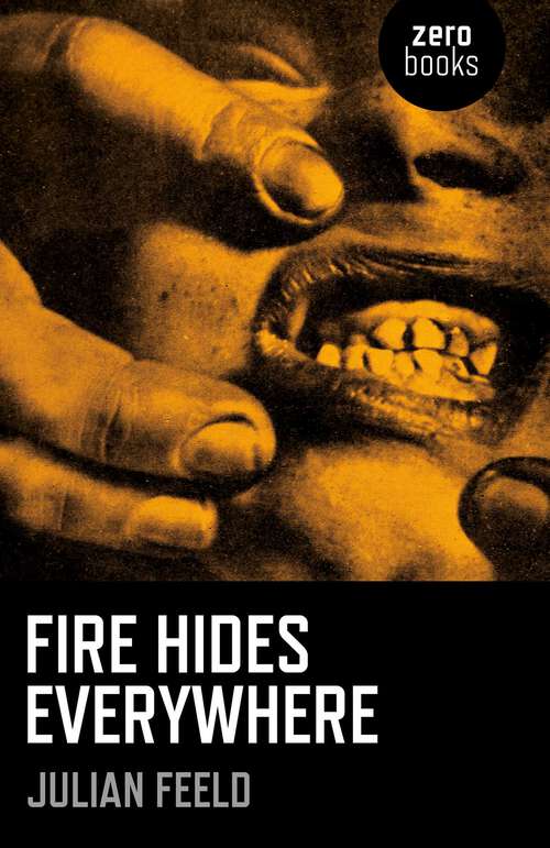 Book cover of Fire Hides Everywhere