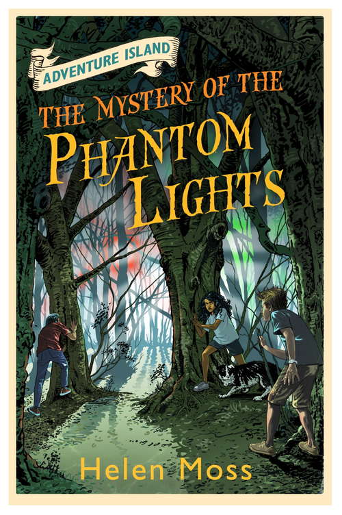 Book cover of The Mystery of the Phantom Lights: Book 14