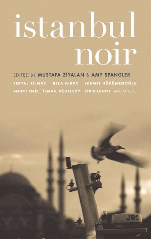 Book cover of Istanbul Noir