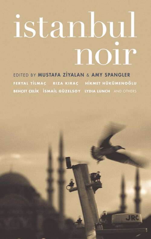 Book cover of Istanbul Noir (Akashic Noir #0)