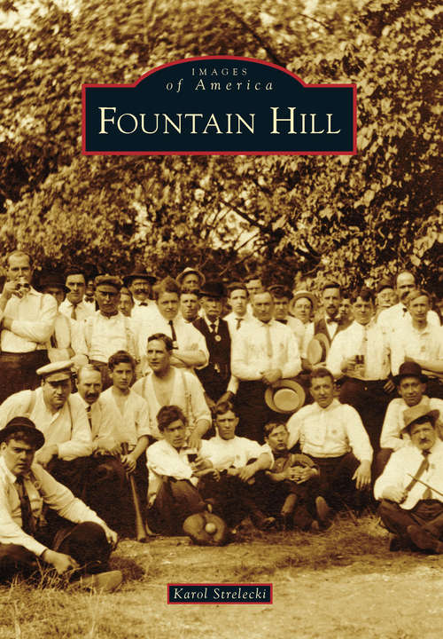 Book cover of Fountain Hill