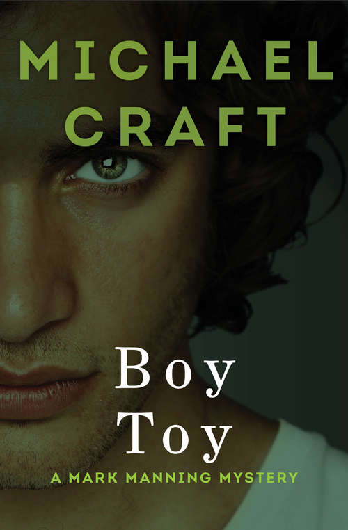 Book cover of Boy Toy
