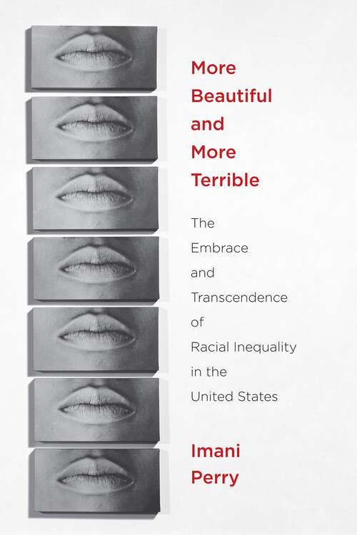 Book cover of More Beautiful and More Terrible