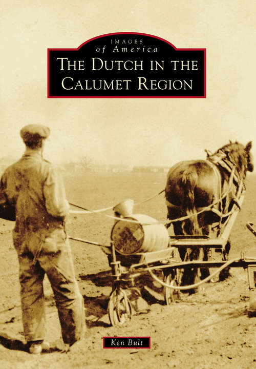 Book cover of Dutch in the Calumet Region, The