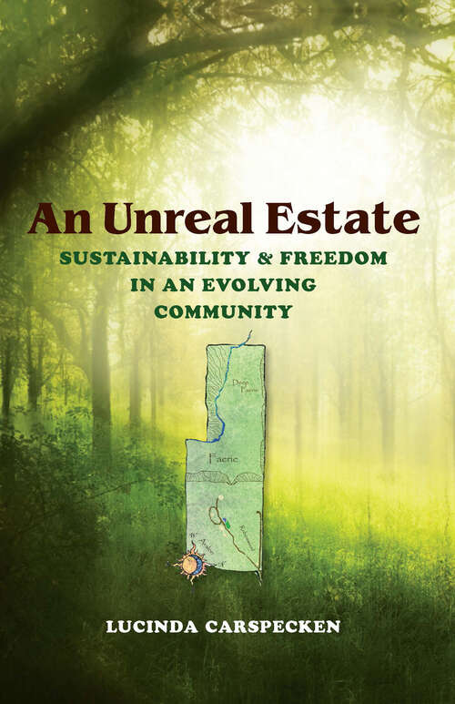 Book cover of An Unreal Estate