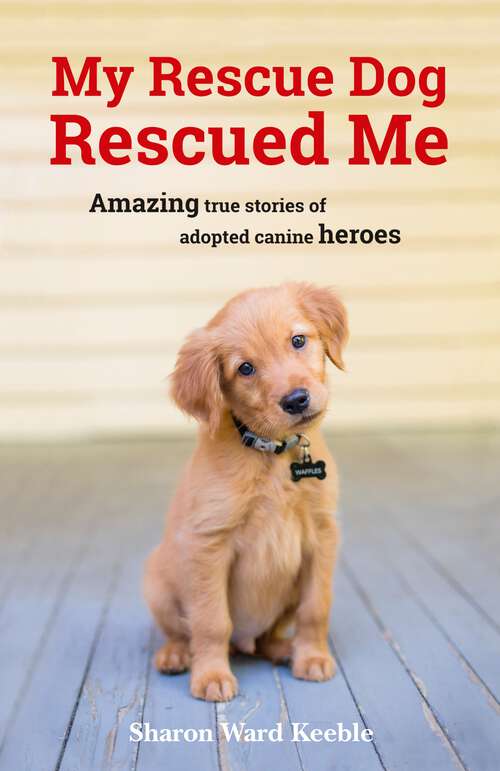 Book cover of My Rescue Dog Rescued Me: Amazing True Stories of Adopted Canine Heroes