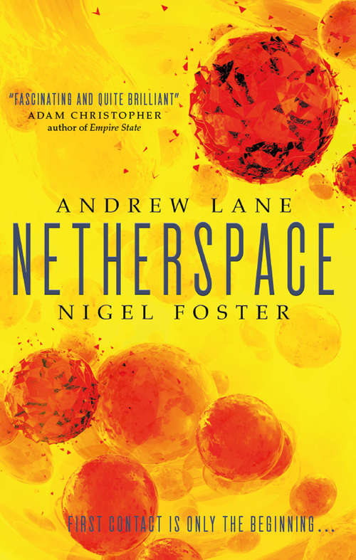 Book cover of Netherspace: Netherspace 1