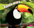 Toucans (South American Animals Ser.)