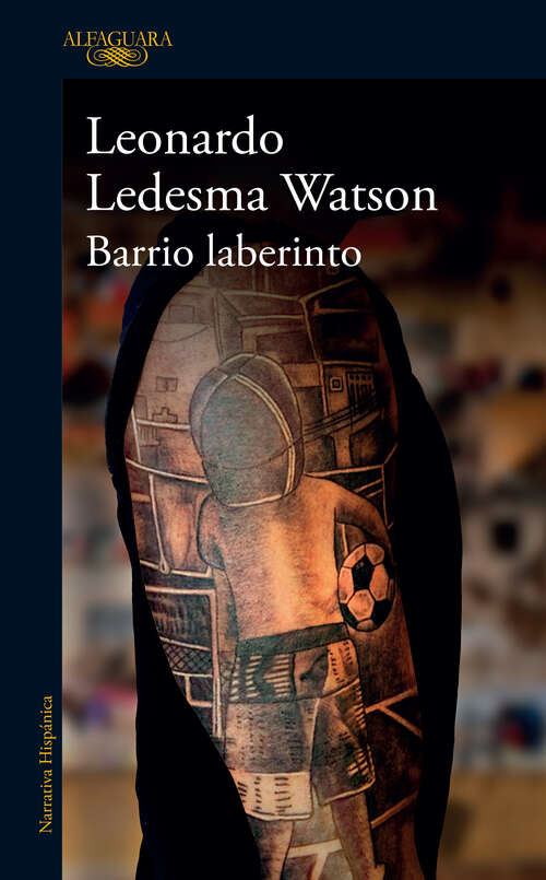 Book cover of Barrio laberinto