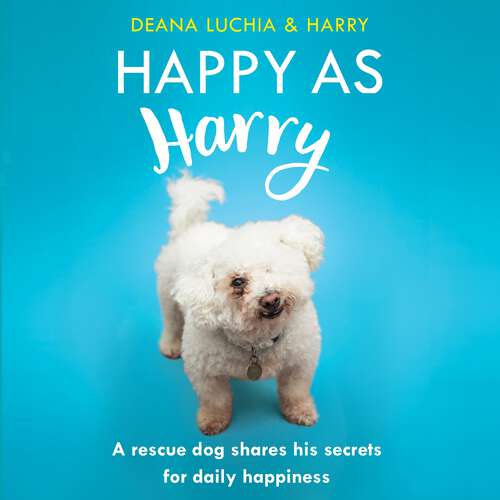 Book cover of Happy as Harry: A rescue dog shares his secrets for daily happiness