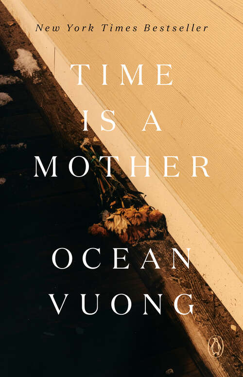 Book cover of Time Is a Mother