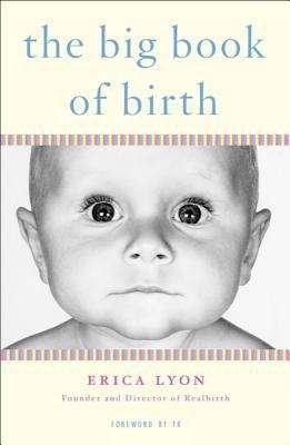 Book cover of The Big Book of Birth