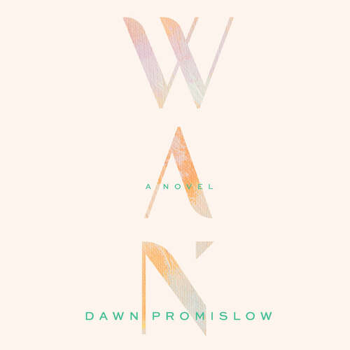 Book cover of Wan