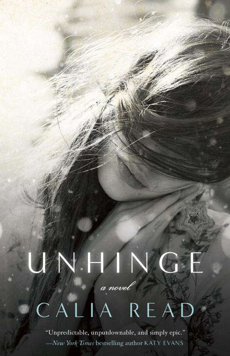 Book cover of Unhinge