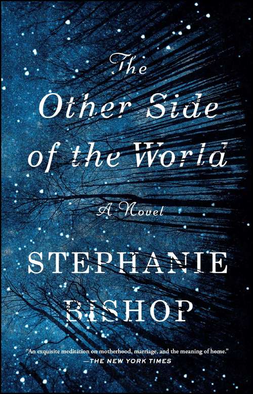Book cover of The Other Side of the World: A Novel