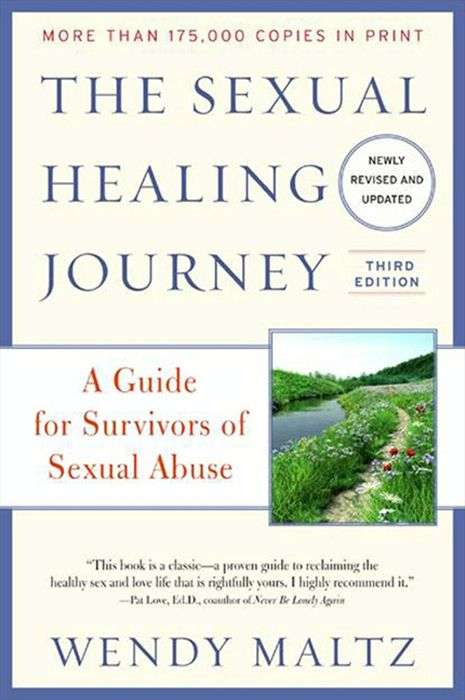 Book cover of The Sexual Healing Journey
