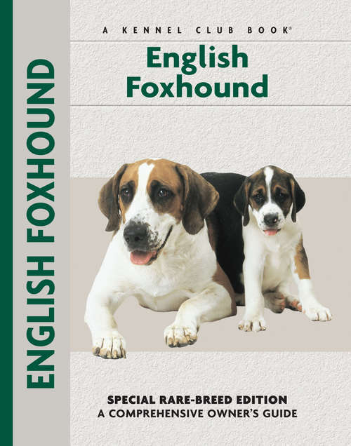 Book cover of English Foxhound