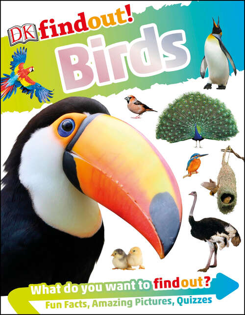 Book cover of DKfindout! Birds (DK findout!)
