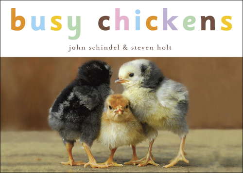 Book cover of Busy Chickens