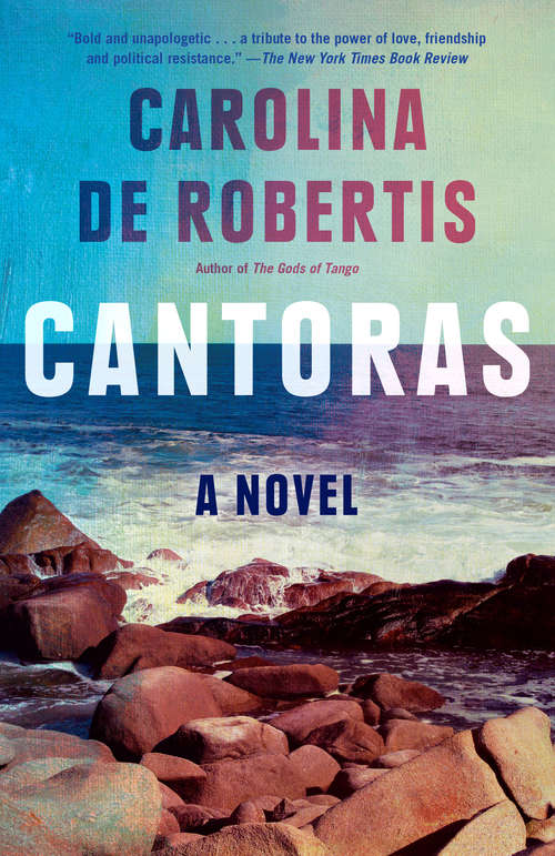 Book cover of Cantoras: A novel